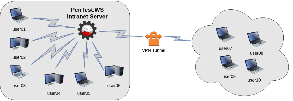 Diagram of a PenTest.WS Intranet Server shared by local users and remote users over a VPN tunnel