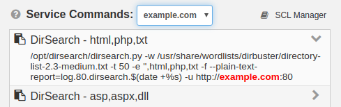 Service Commands panel filling a dirsearch command with the host domain name example.com